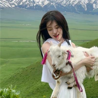 黑狐：希特勒